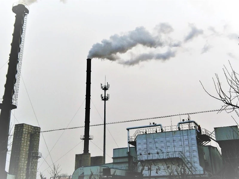 29MW Biomass Pellet-fired Boiler
