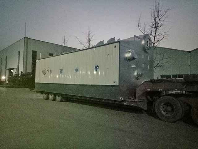 20t/h gas boiler delivery