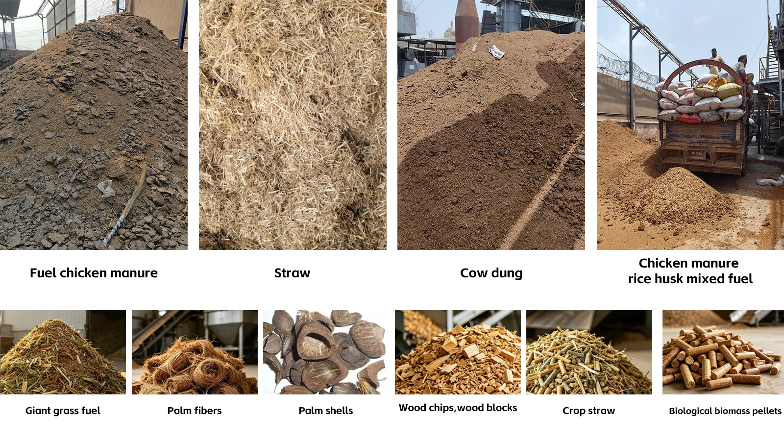 غلاية الكتلة الحيوية