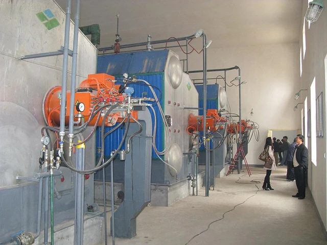Biomass gas boiler
